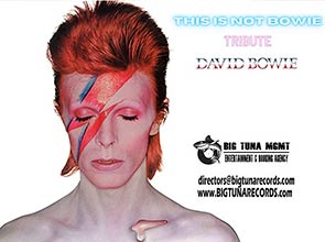 THIS IS NOT BOWIE - TRIBUTO DAVID BOWIE